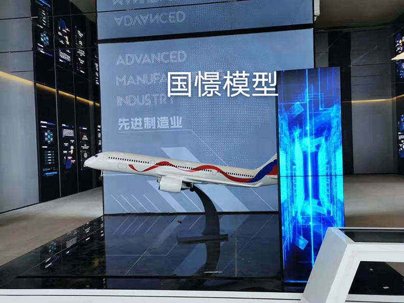 寿宁县飞机模型